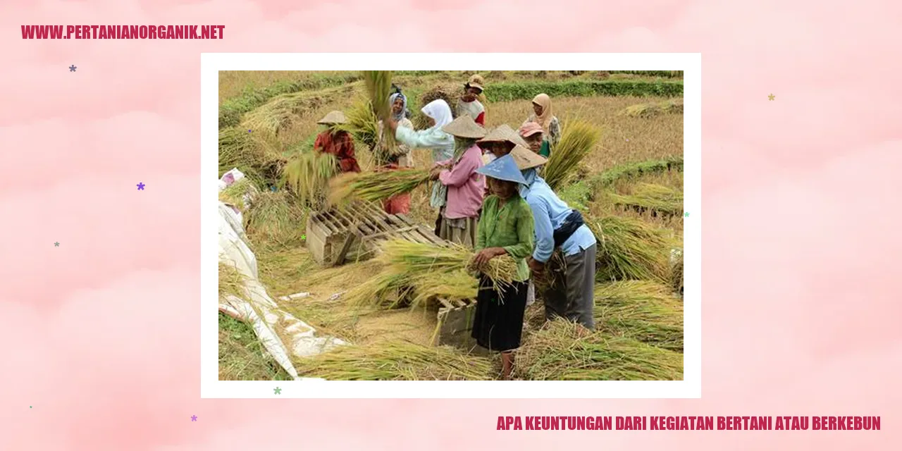 bertani atau berkebun