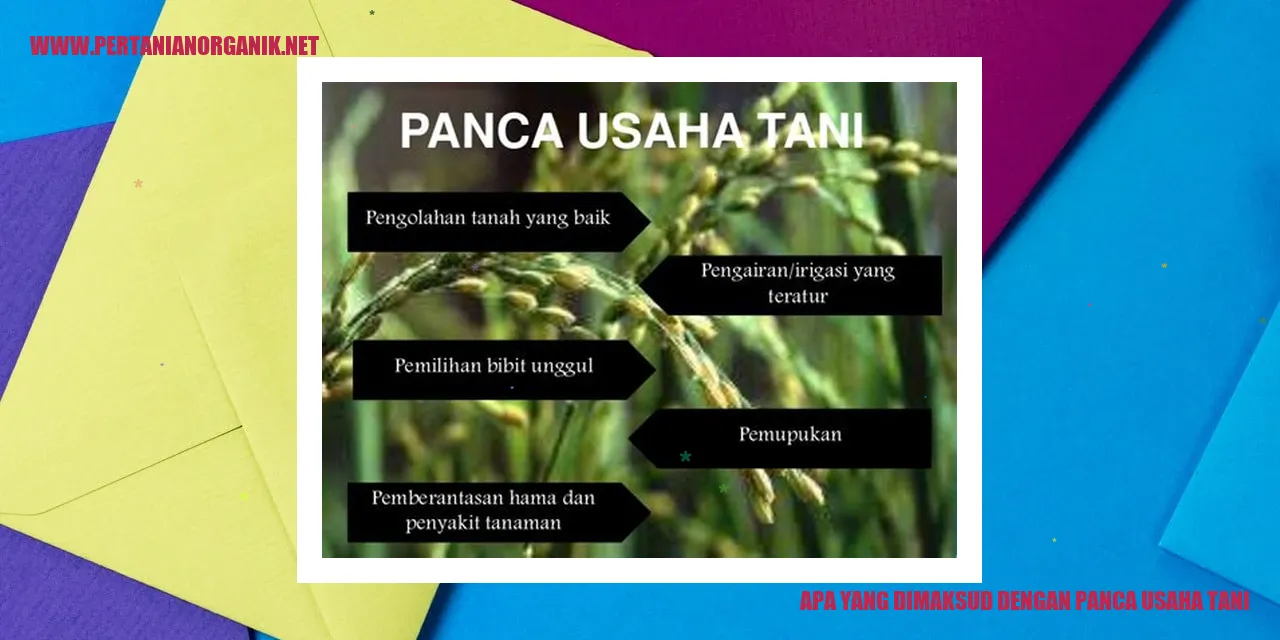 Panca Usaha Tani