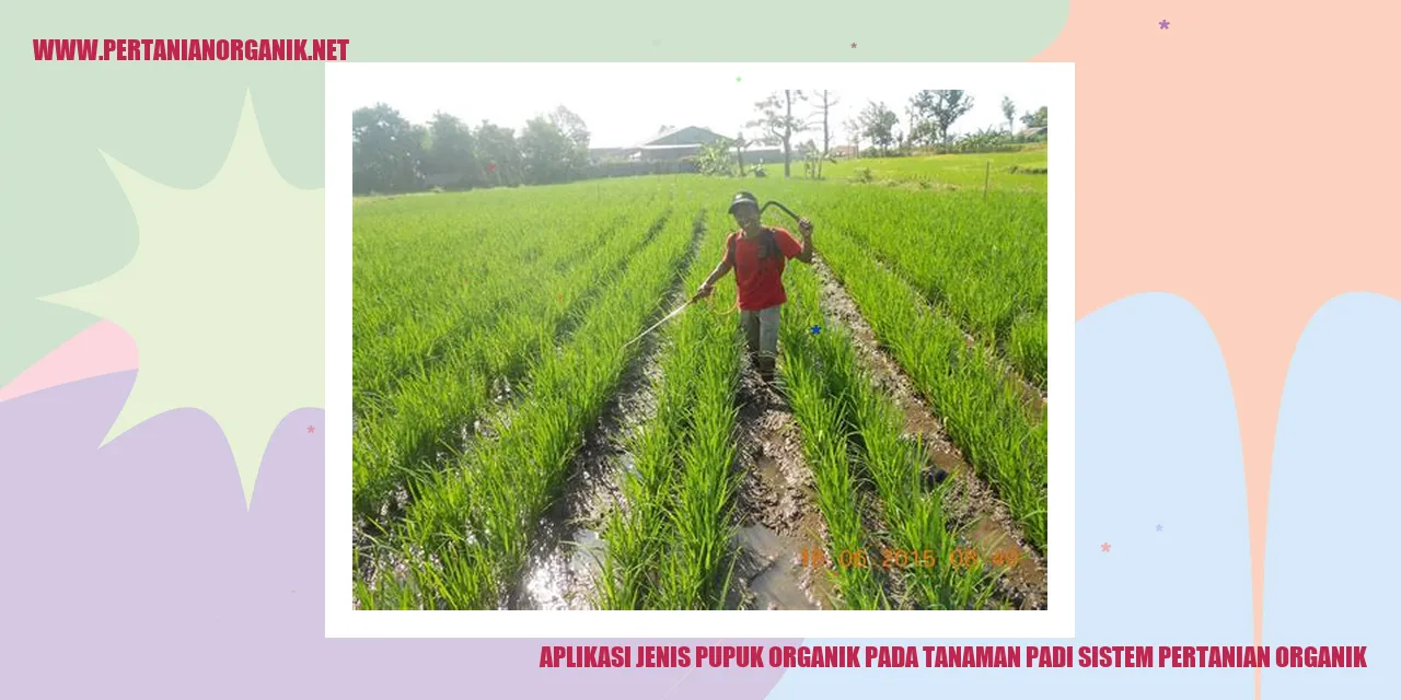 Aplikasi Kompos pada Tanaman Padi Sistem Pertanian Organik