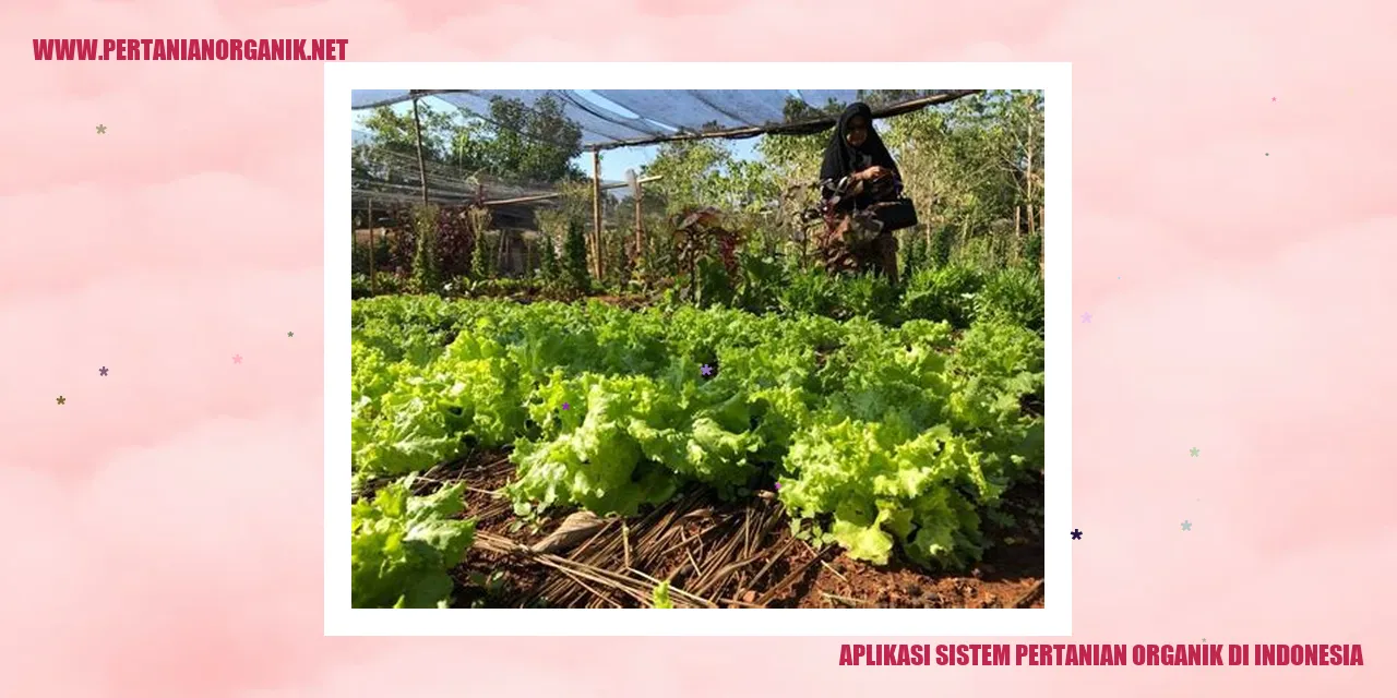 Aplikasi Sistem Pertanian Organik di Indonesia