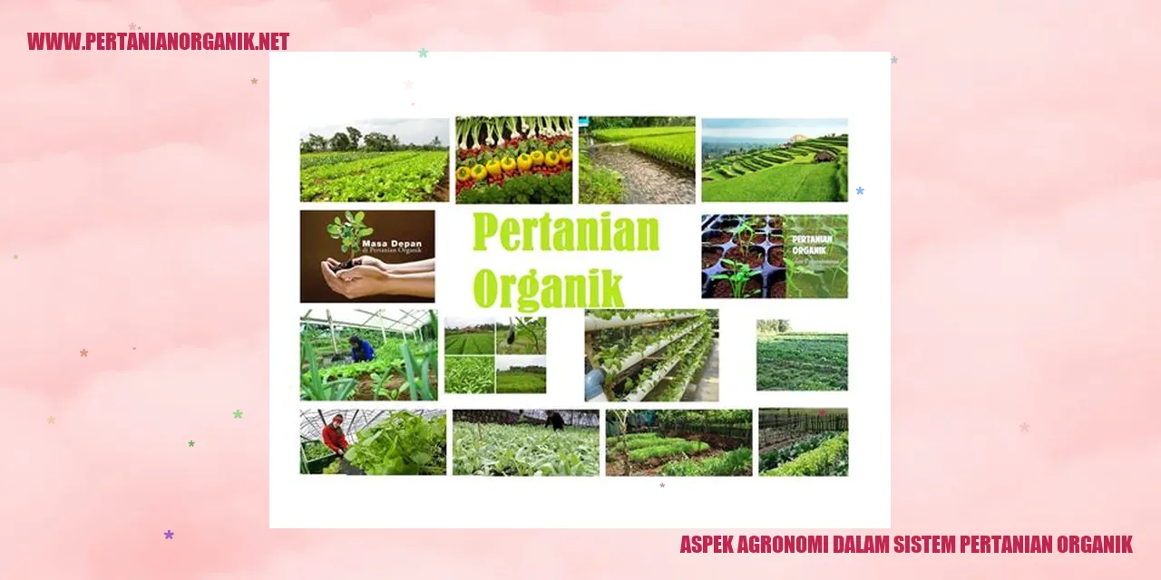 Aspek Agronomi dalam Sistem Pertanian Organik