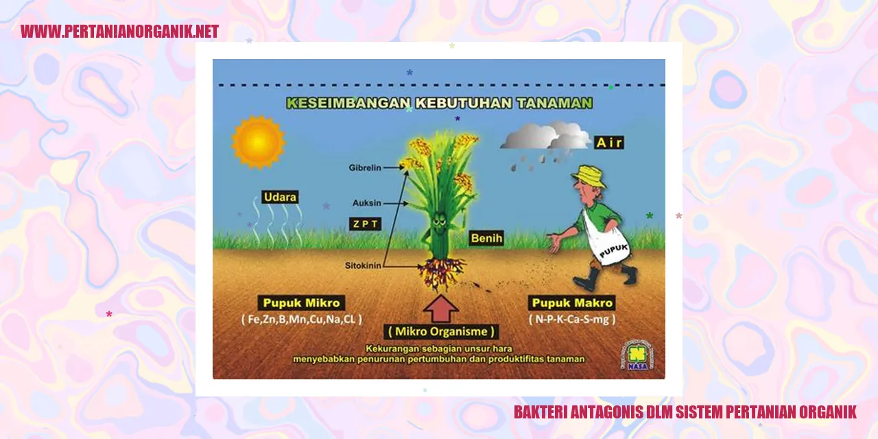 bakteri antagonis dalam sistem pertanian organik