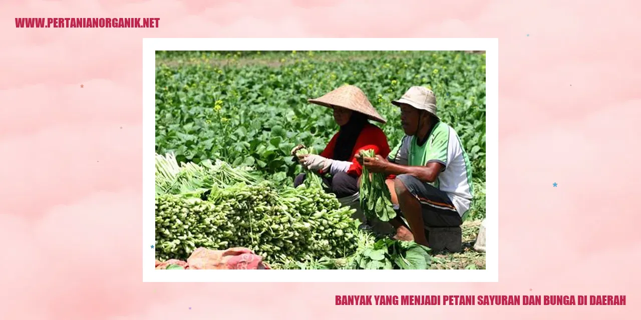 Banyak yang Menjadi Petani Sayuran dan Bunga di Daerah