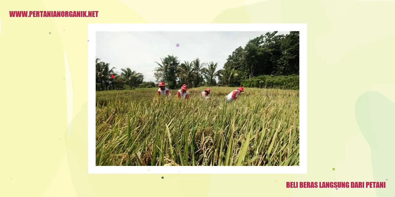 beras langsung dari petani