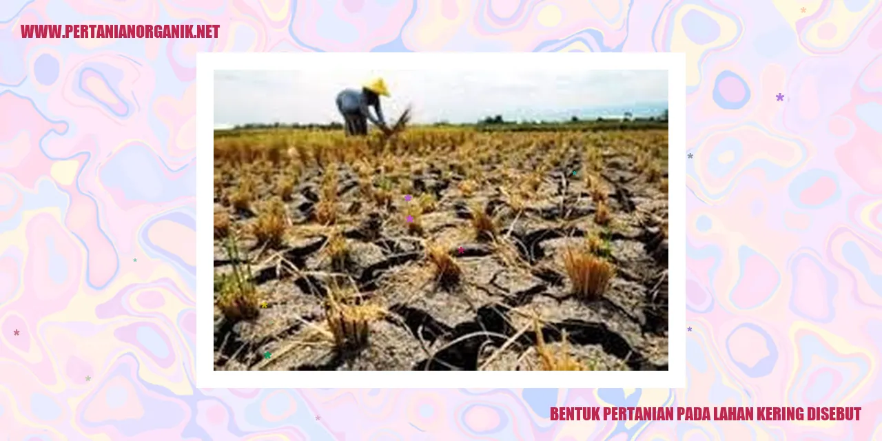 bentuk pertanian pada lahan kering disebut