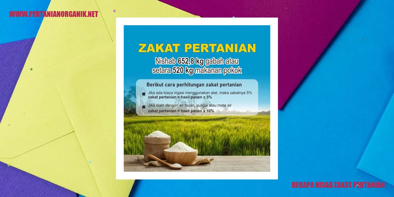 Gambar Nisab Zakat Pertanian