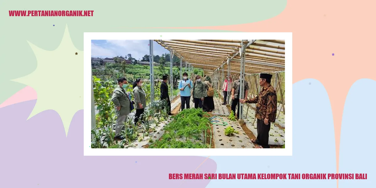 Bers Merah Sari Bulan Kelompok Tani Organik Provinsi Bali