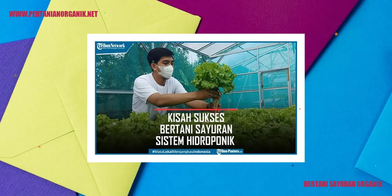 bertani sayuran organik