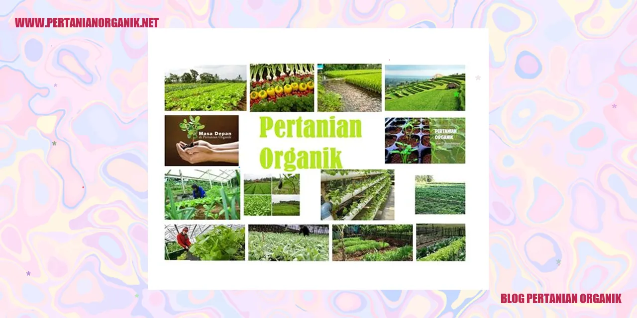 Blog Pertanian Organik