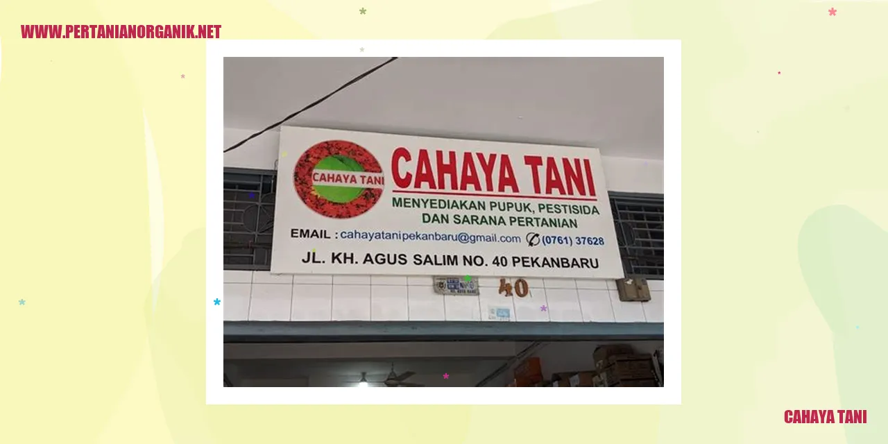 cahaya tani