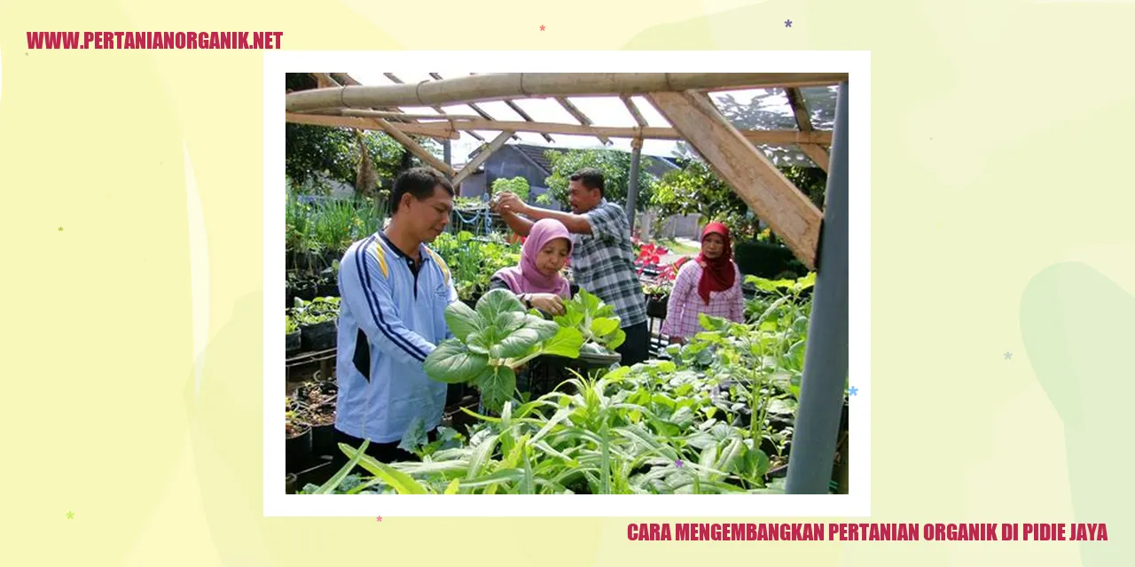 Cara Mengembangkan Pertanian Organik di Pidie Jaya