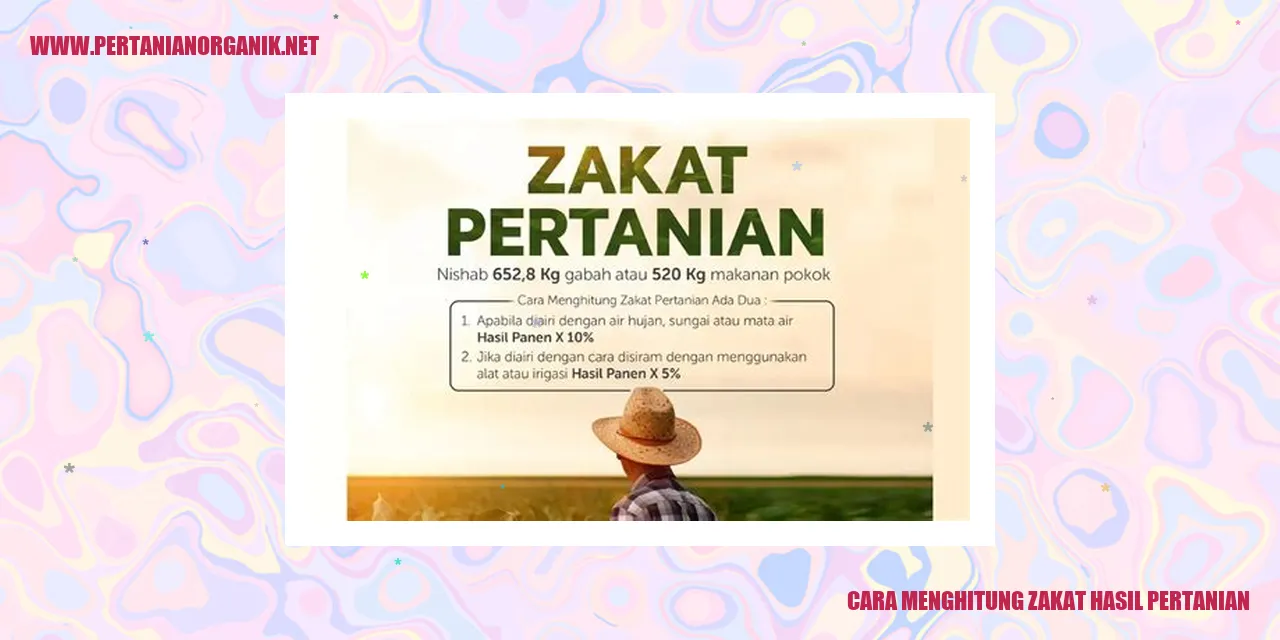 Cara Menghitung Zakat Hasil Pertanian