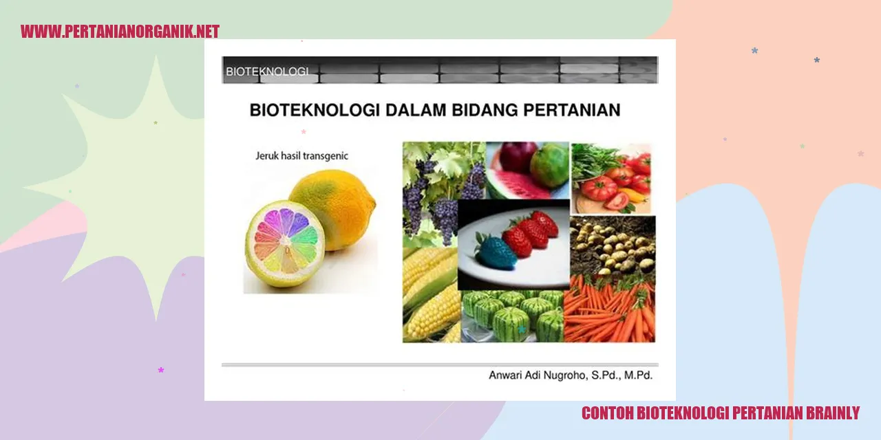 Brainly - Contoh Bioteknologi Pertanian