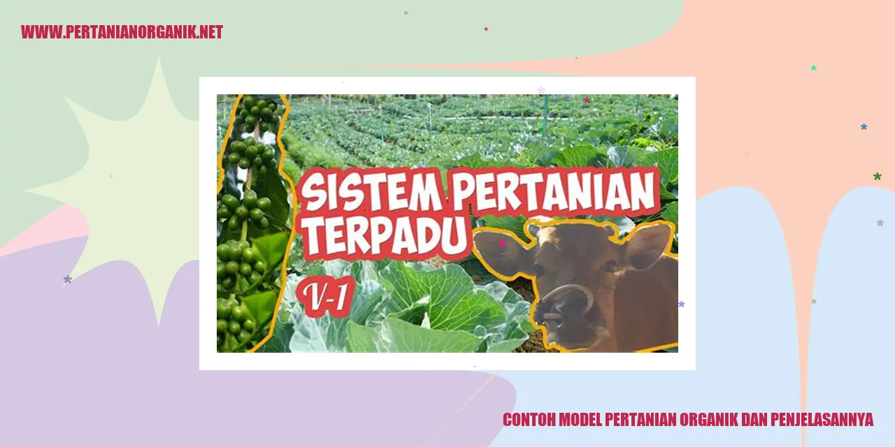 Contoh Model Pertanian Organik