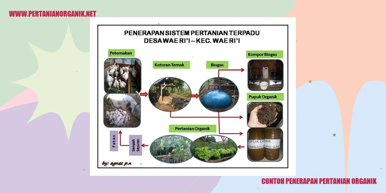 contoh penerapan pertanian organik