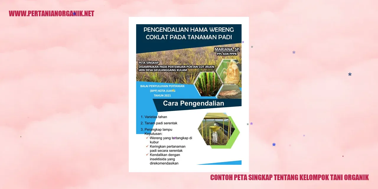 contoh peta singkap tentang kelompok tani organik