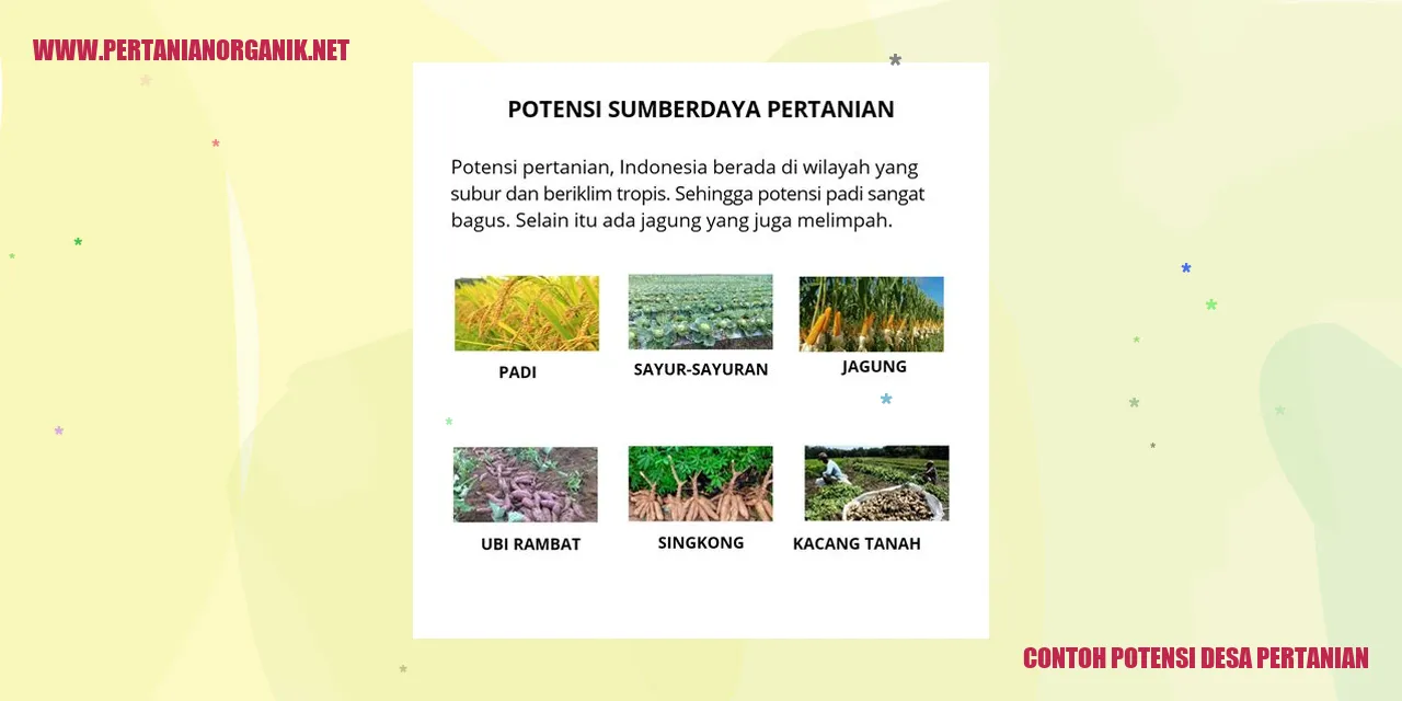 contoh potensi desa pertanian