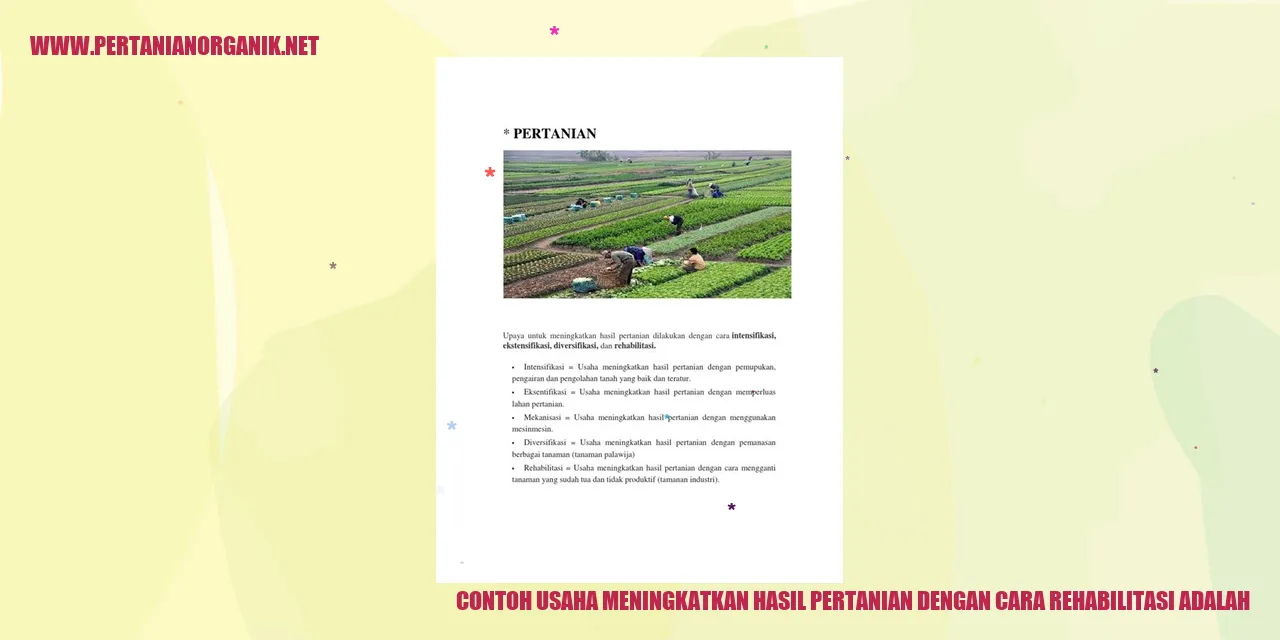 rehabilitasi lahan pertanian