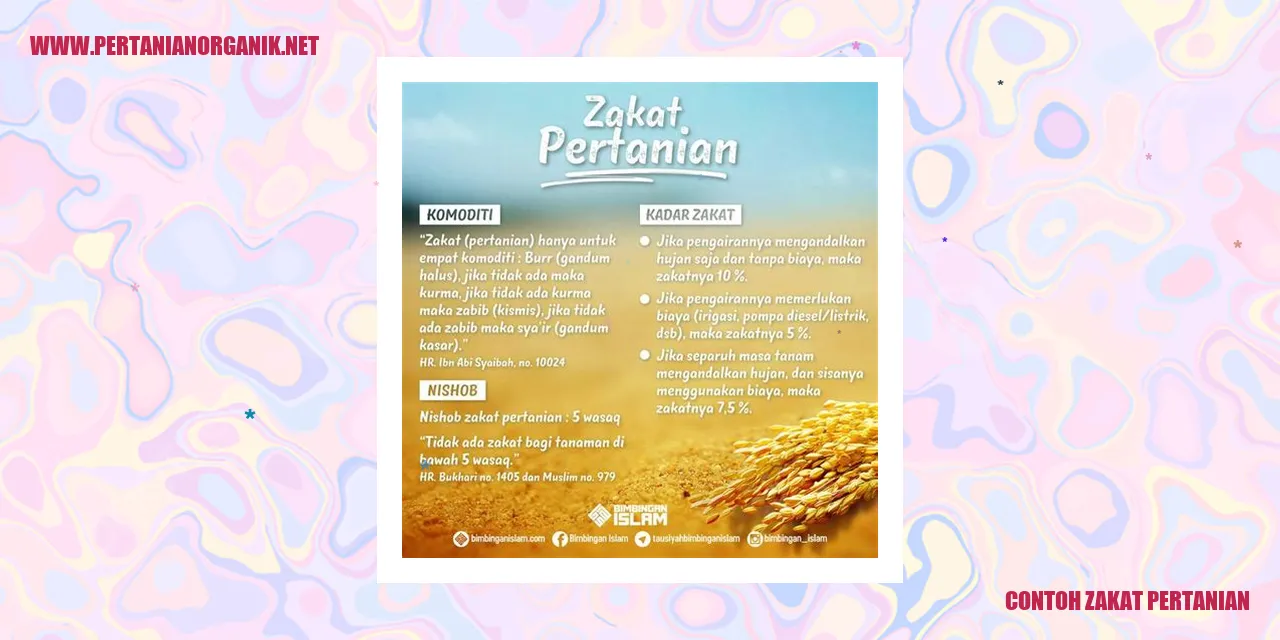 contoh zakat pertanian