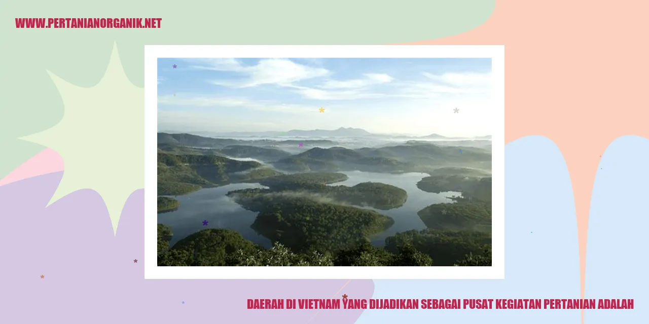 Daerah di Vietnam yang Dijadikan sebagai Pusat Kegiatan Pertanian Adalah