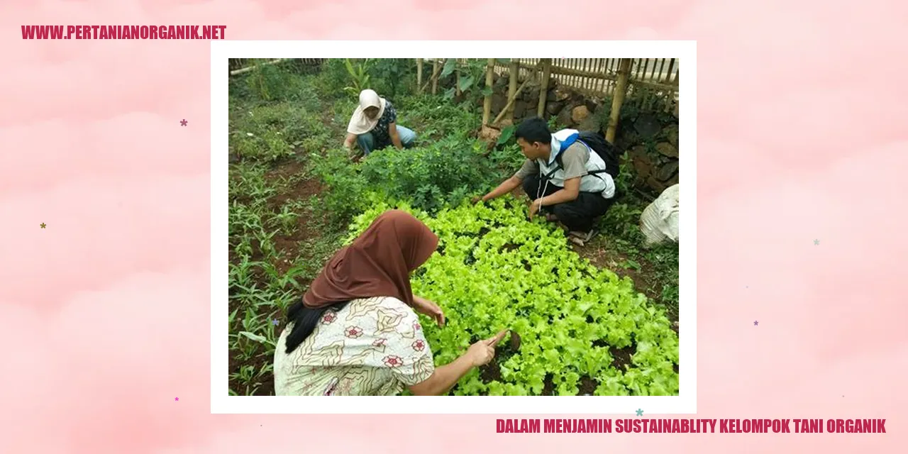 dalam menjamin sustainablity kelompok tani organik