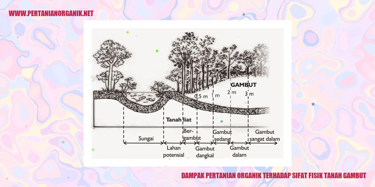 gambar pertanian organik dan tanah gambut