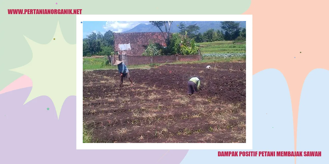 petani membajak sawah