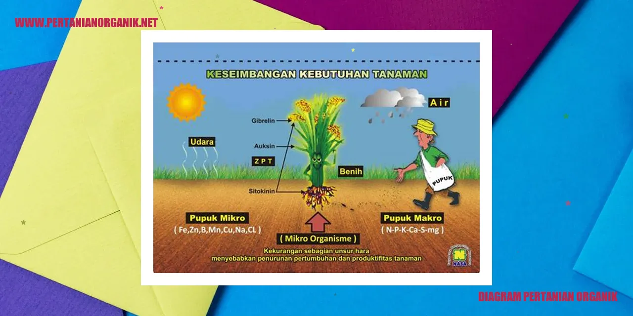 diagram pertanian organik