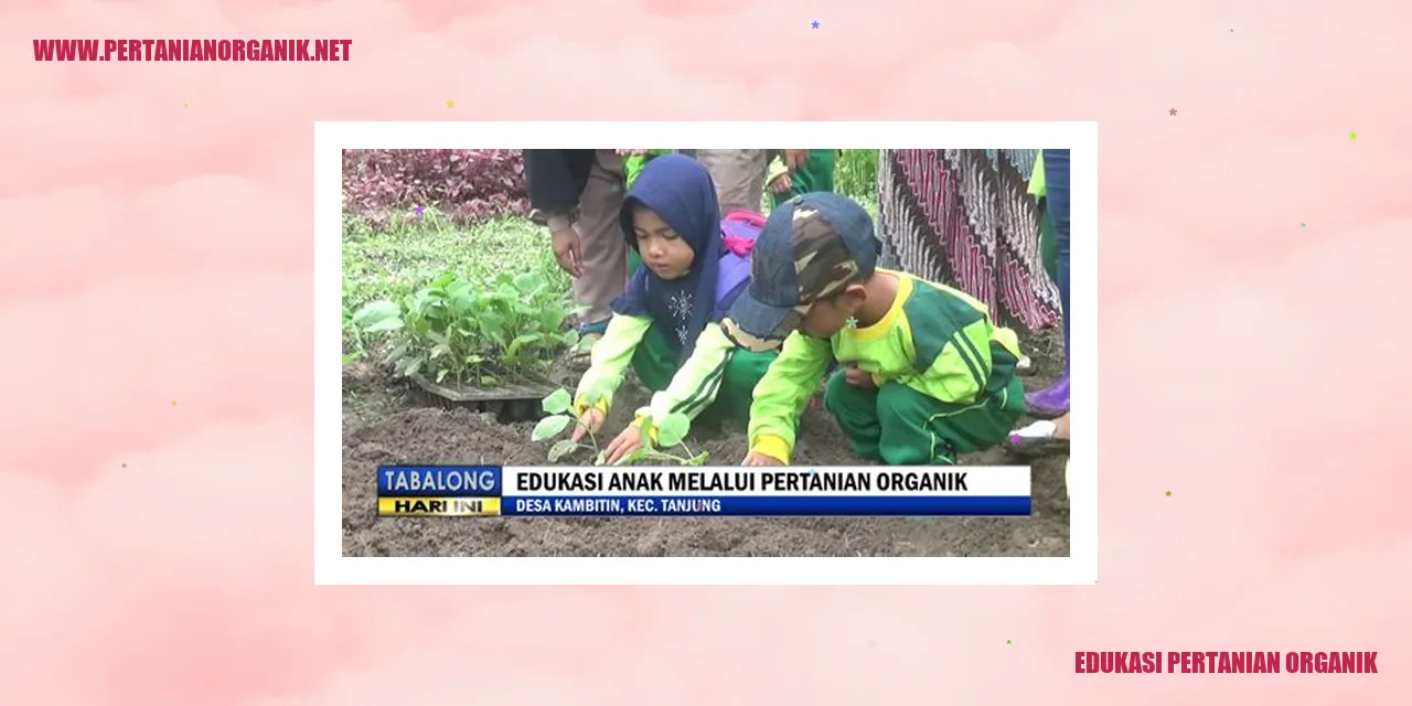 edukasi pertanian organik