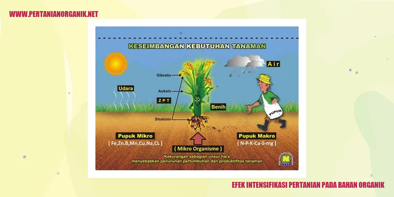 Efek intensifikasi pertanian pada bahan organik