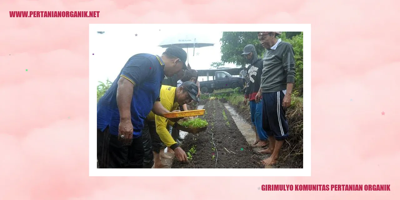 girimulyo komunitas pertanian organik