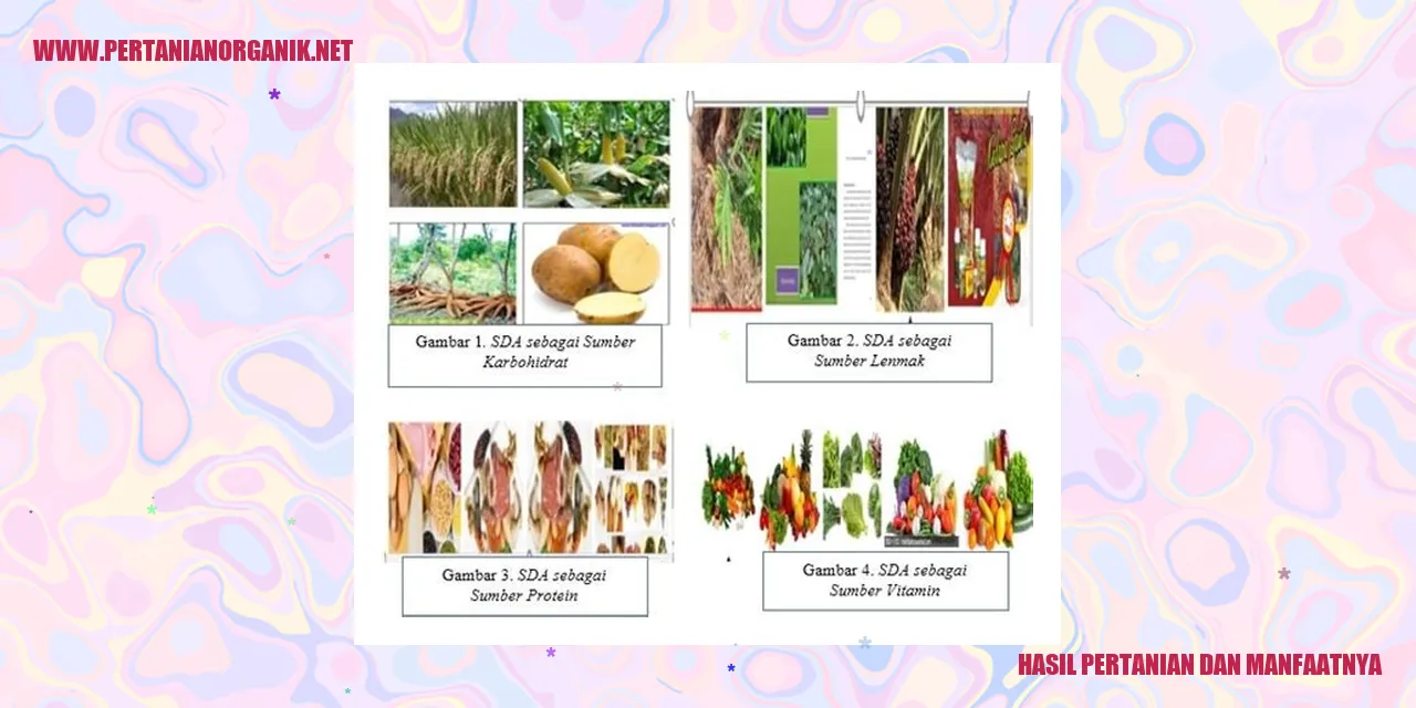 Hasil Pertanian dan Manfaatnya