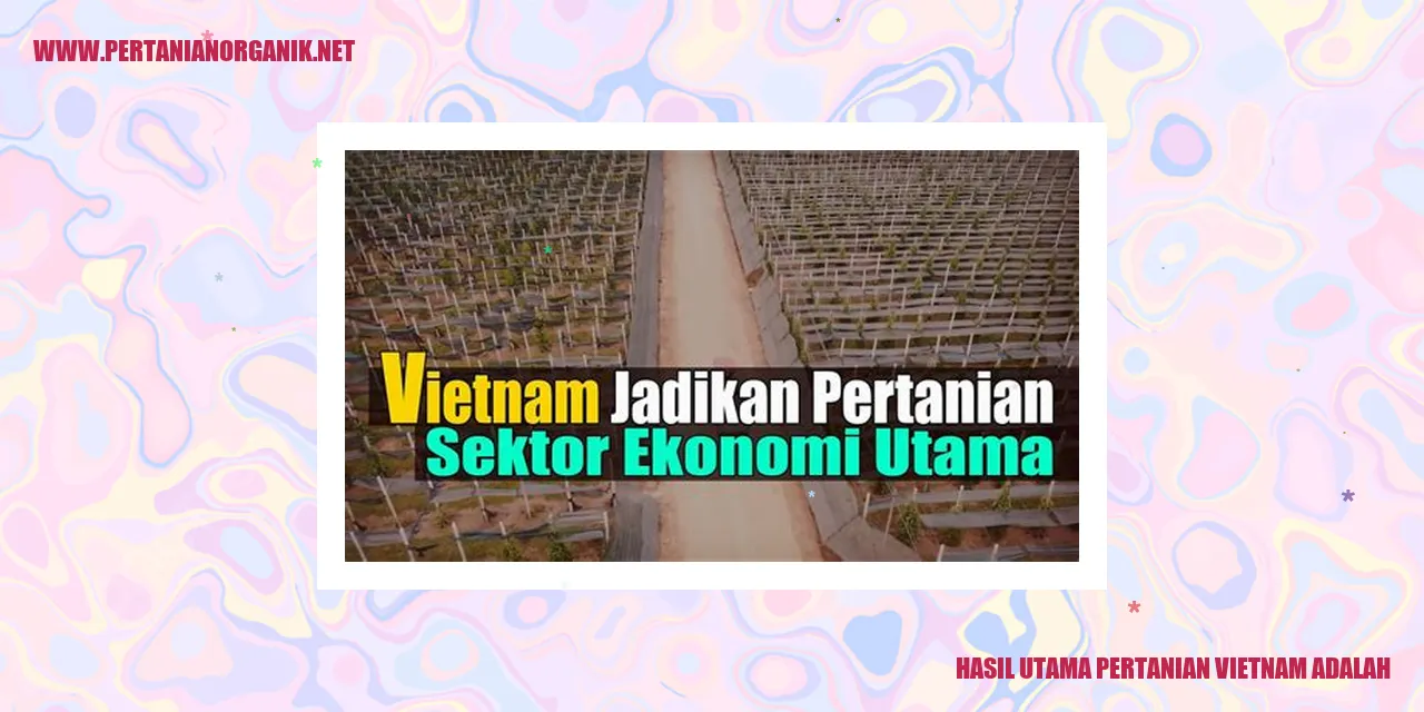 Gambar Pertanian Vietnam