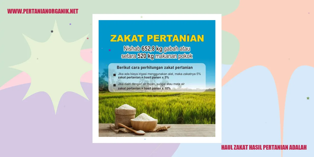 Haul Zakat Hasil Pertanian