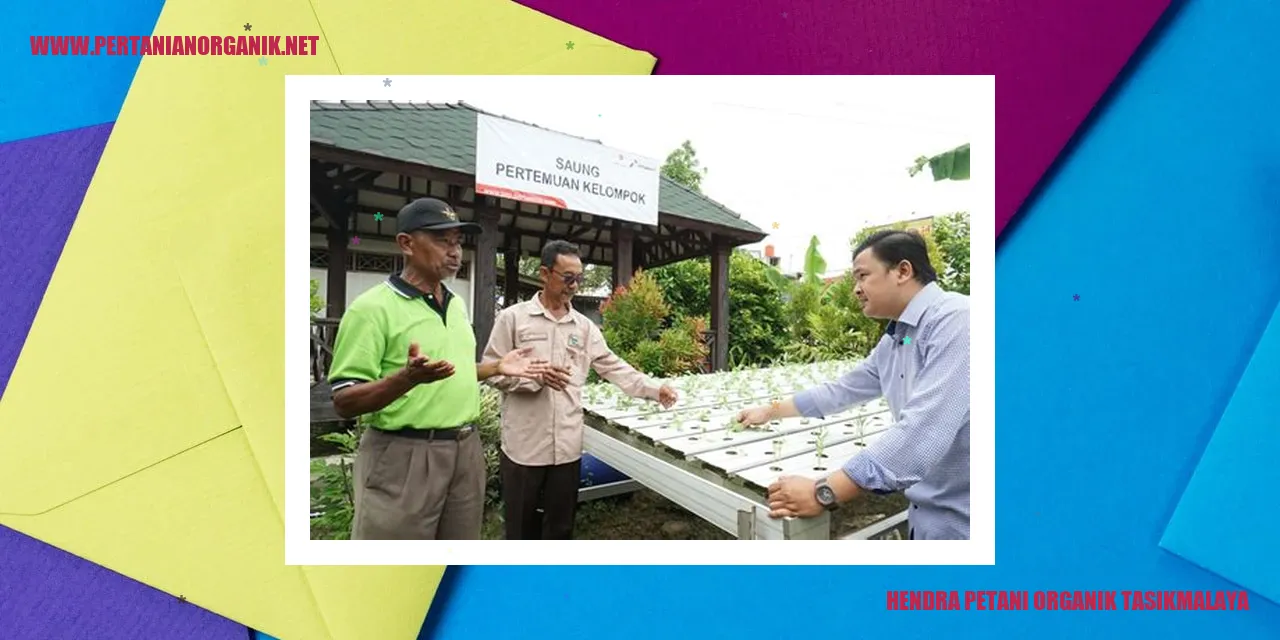 Hendra Petani Organik Tasikmalaya