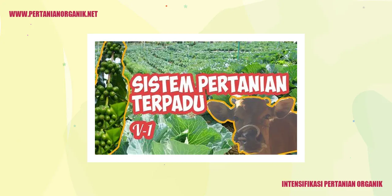 Intensifikasi Pertanian Organik