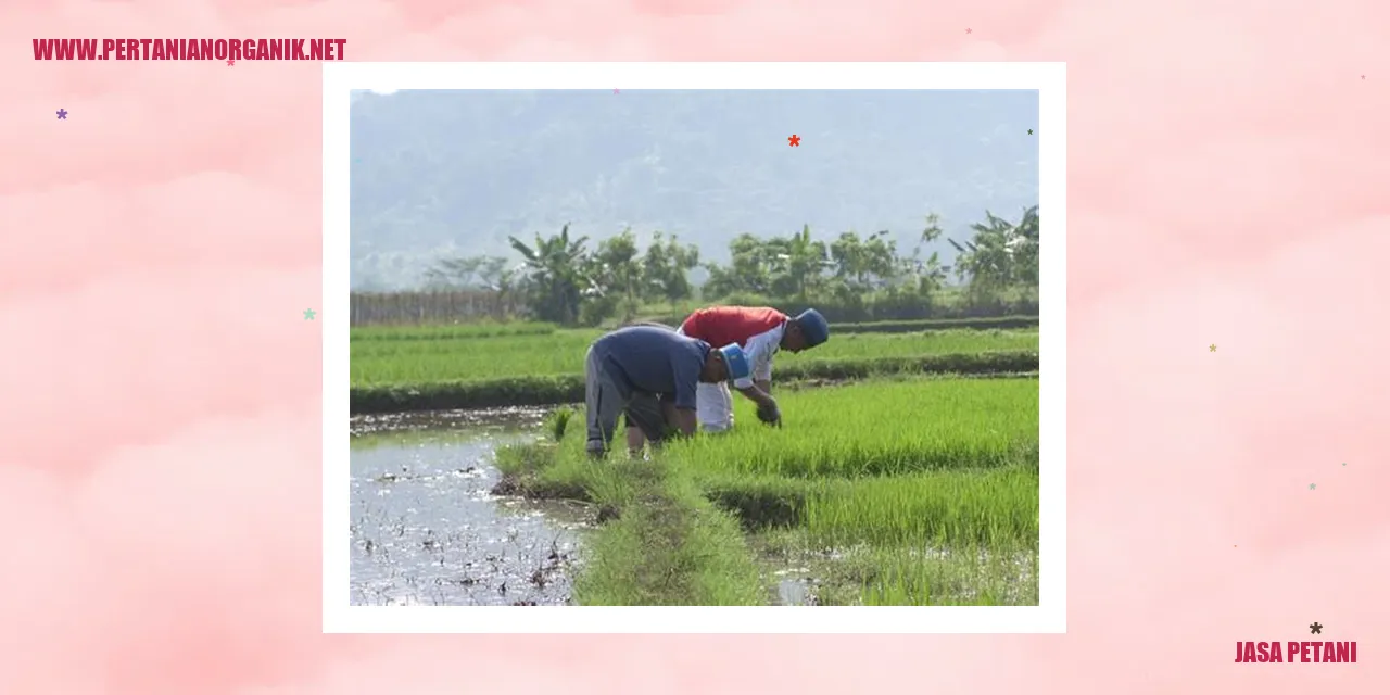 jasa petani