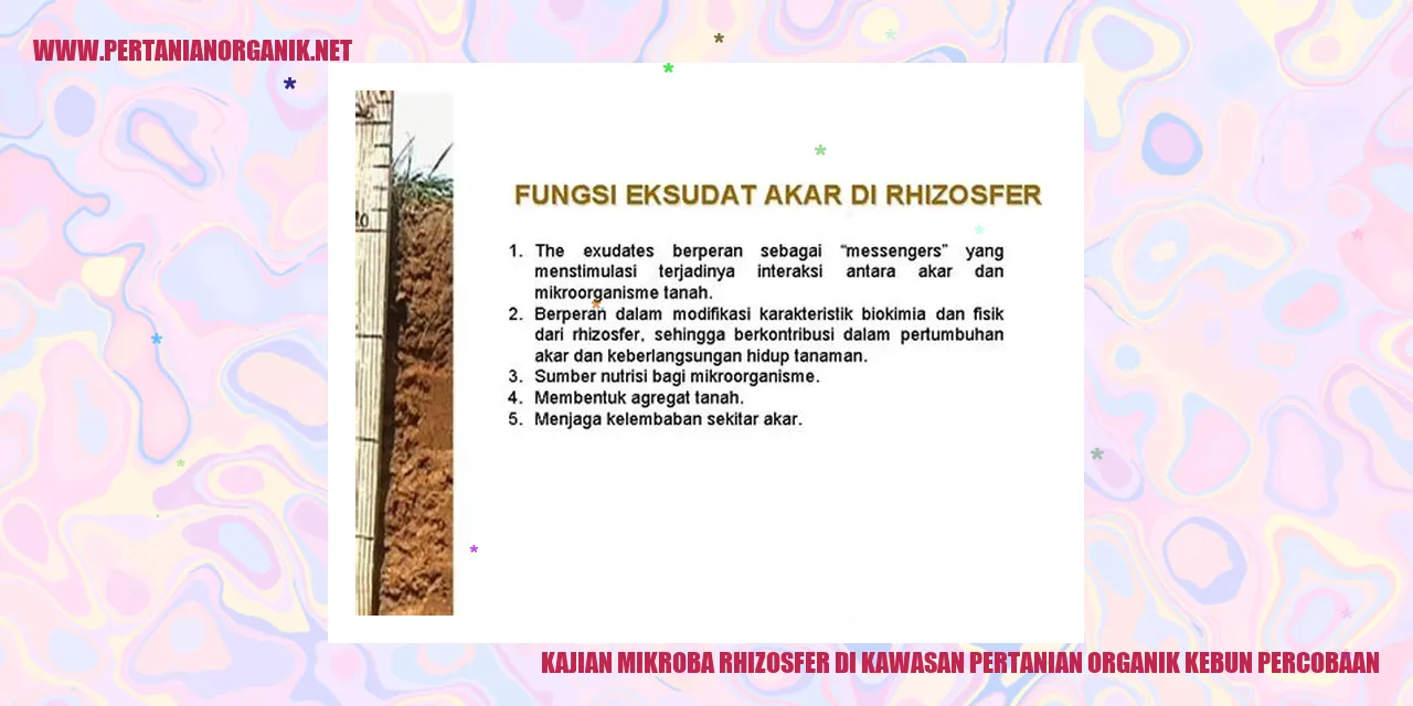 Kajian Mikroba Rhizosfer di Kawasan Pertanian Organik Kebun Percobaan