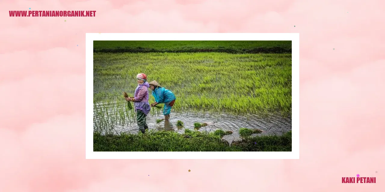 Kesehatan kaki petani