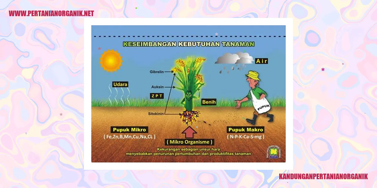 gambar pertanian organik