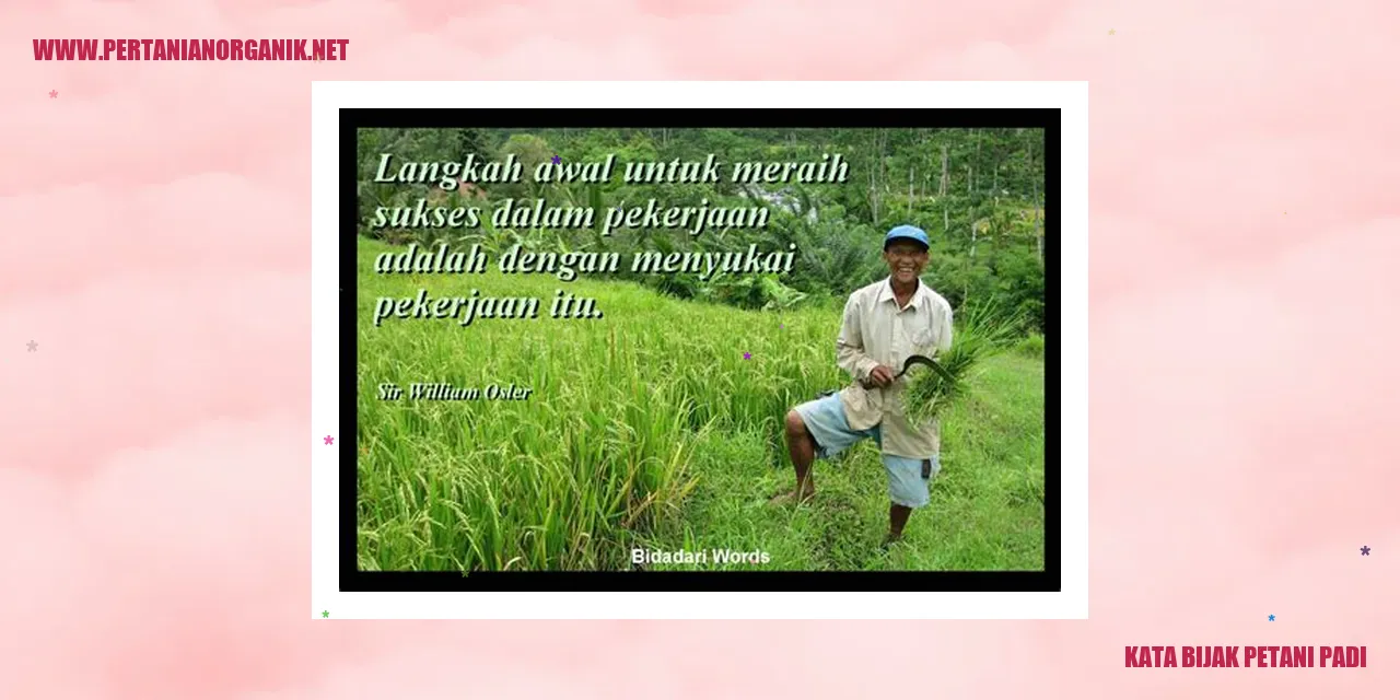 Kata Bijak Petani Padi