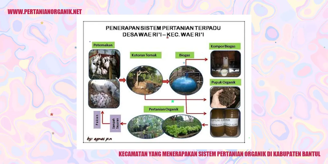 Peta Keberadaan Kecamatan yang Menerapkan Sistem Pertanian Organik di Kabupaten Bantul