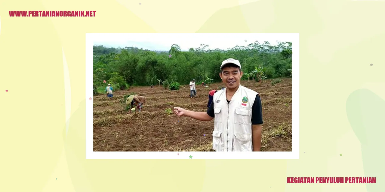 Kegiatan Penyuluh Pertanian