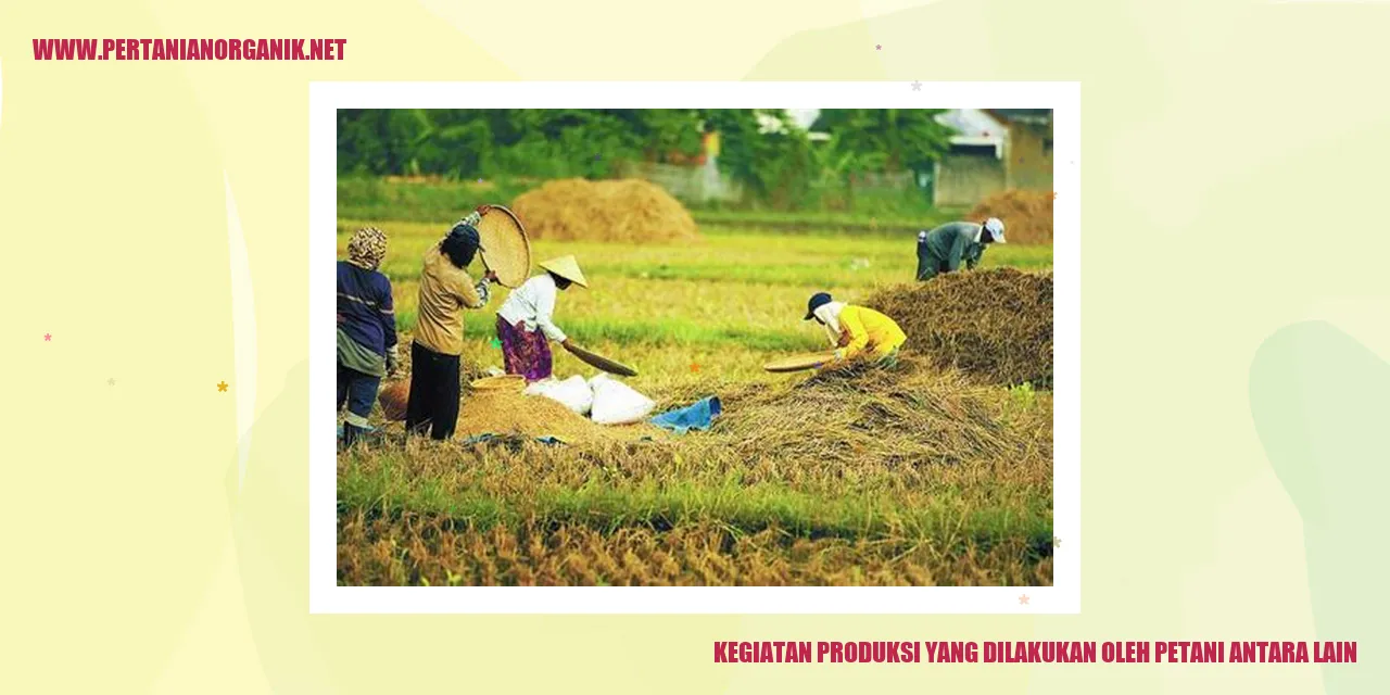 Kegiatan Produksi yang Dilakukan oleh Petani Antara Lain