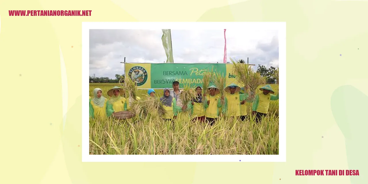 Kelompok Tani di Desa