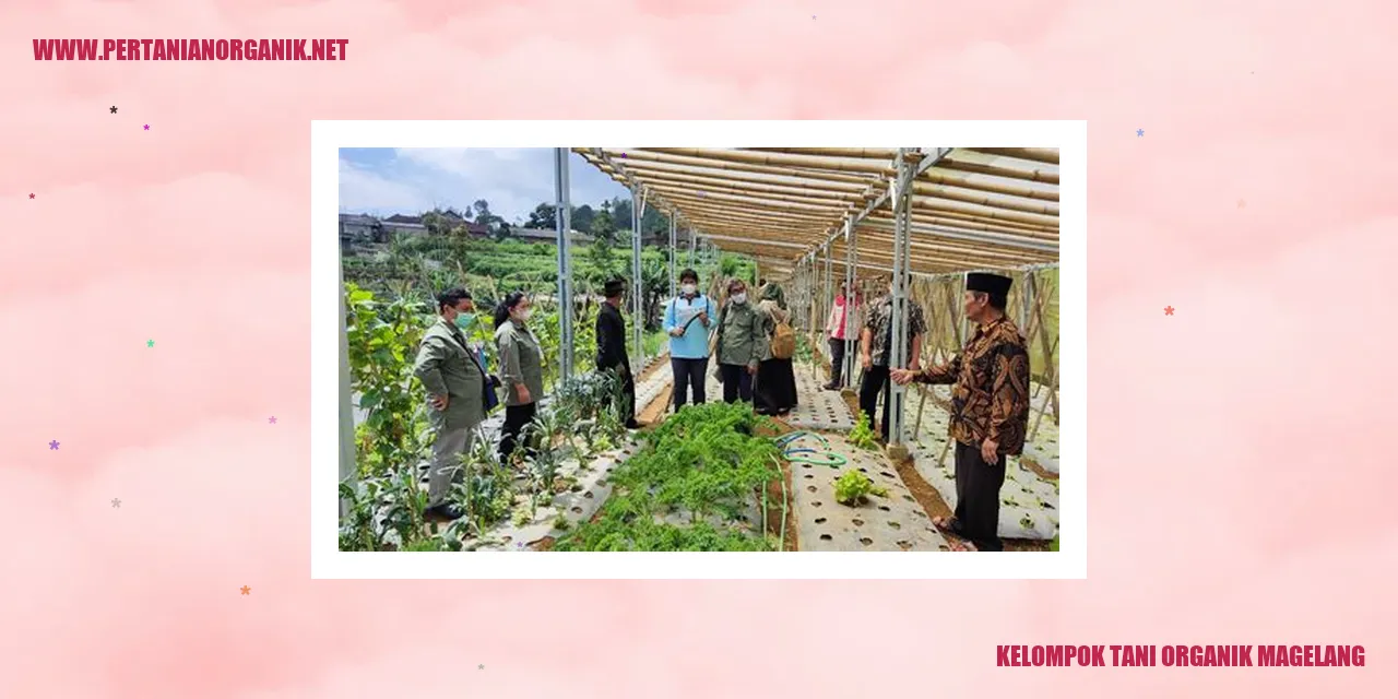 Kelompok Tani Organik Magelang