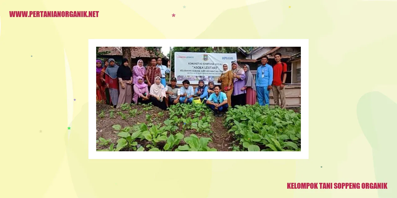 Kelompok Tani Soppeng Organik