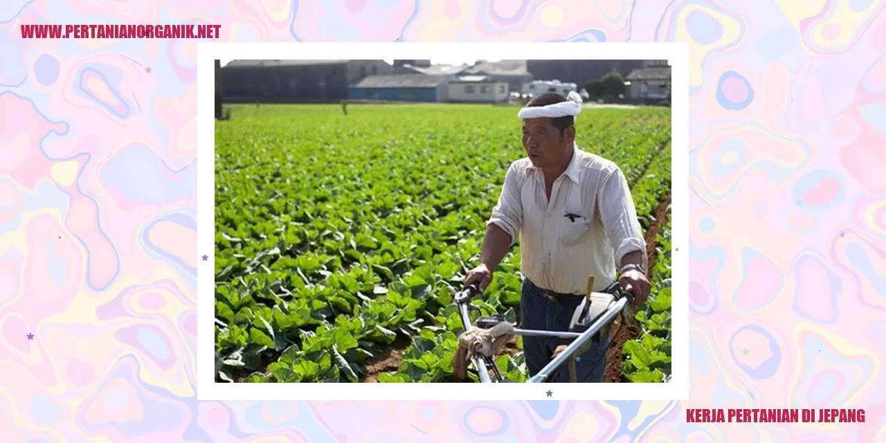 kerja pertanian di jepang