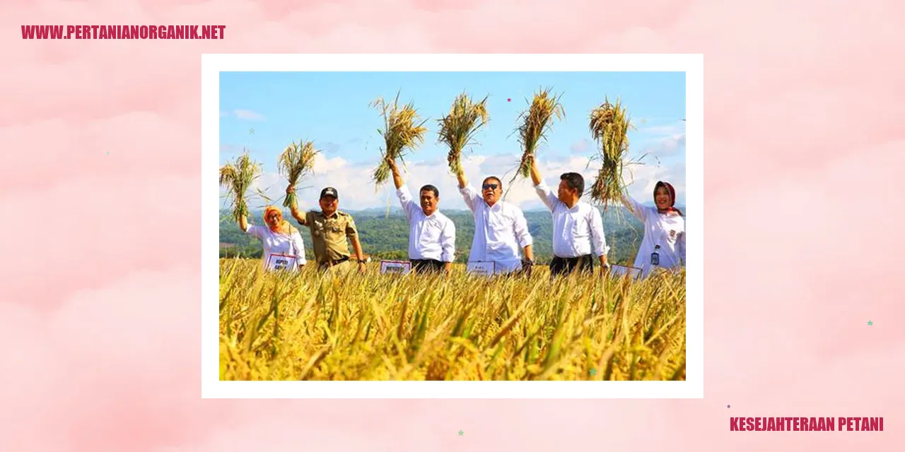 Petani sedang memanen hasil pertaniannya