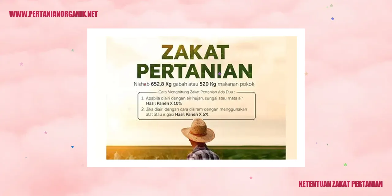 Ketentuan Zakat Pertanian